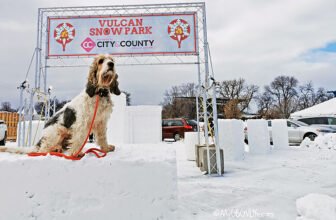 Taking In The Snow Park 2025