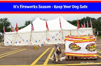 It’s Fireworks Season – Keep Your Dog Safe