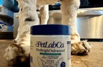 PetLab Co. Review: Testing Out ProBright Advanced Dental Powder for Dogs for 30 Days