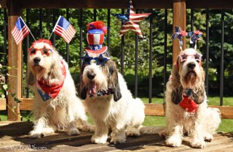 Happy 4th Of July 2025