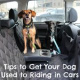 6 Quick Tips to Get Your Dog Accustomed to Riding in Your Car {Stocking Stuffer Giveaway – Day #2}