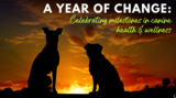 Celebrating Milestones in Canine Health and Wellness – Dr. Dobias Natural Healing