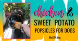 How to Make Chicken & Sweet Potato Dog Popsicles Your Dog Will Melt For