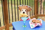 Let’s Party It Up For Cinco de Mayo!