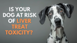 Is Your Dog at Risk of Liver Treat Toxicity – Dr. Dobias Natural Healing
