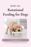 Rotational Feeding for Dogs: How, what, and why we feed on rotation