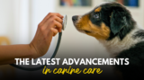 The Latest Advancements in Canine Care – Dr. Dobias Natural Healing