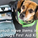 Must Have Items for Your Dog’s First Aid Kit {Stocking Stuffer Giveaway – Day #5}