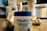 PetLab Co. Review: Testing Out ProBright Advanced Dental Powder for Dogs for 30 Days