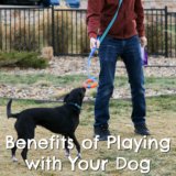 Benefits of Playing Outside with Your Dog {Stocking Stuffer Giveaway – Day #4}